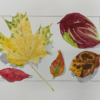 Aquarell_sq1